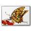 «Wings II», reproduction encadrée sur toile-1376448363-1376448360
