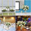 Hagerman Arrangement