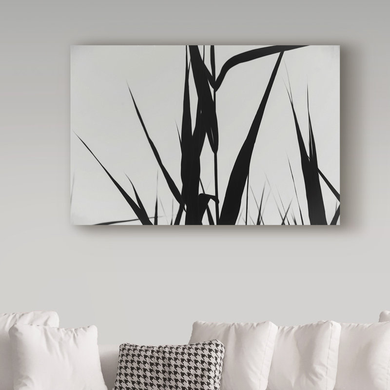 «Shapes Black On White» par Molloy, reproduction de photo sur toile tendue, H 22 po x l 32 po