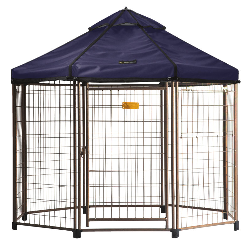 Enclos pour animaux 48 cm Deemer, Bleu ciel cobalt, H 48 po x l 48 po x P 1 po