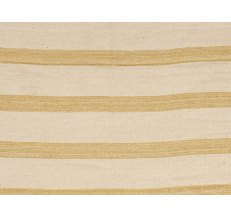 Striped Area Rug in Beige