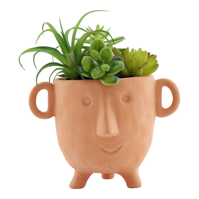 Faux Cactus Plant in Terracotta Pot, 27cm H x 22cm W x 19cm D