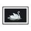 Impression du guide du cygne silencieux-1864336647-1868803655-1864336689