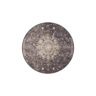 Machine Washable Gray Area Rug