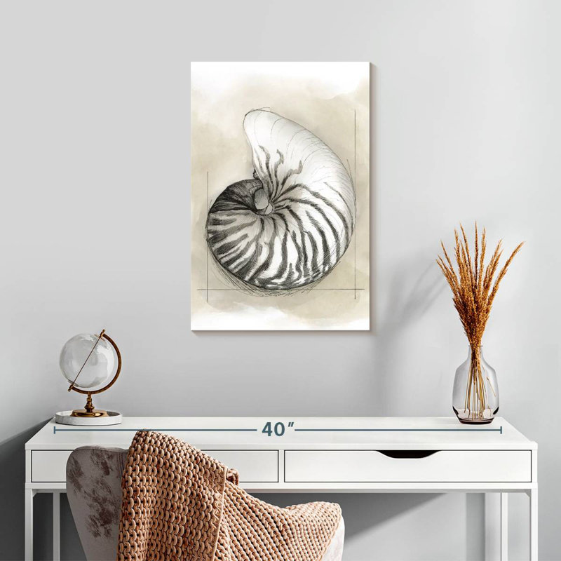 Brampt Shell Schematic I, 24" H x 16" W