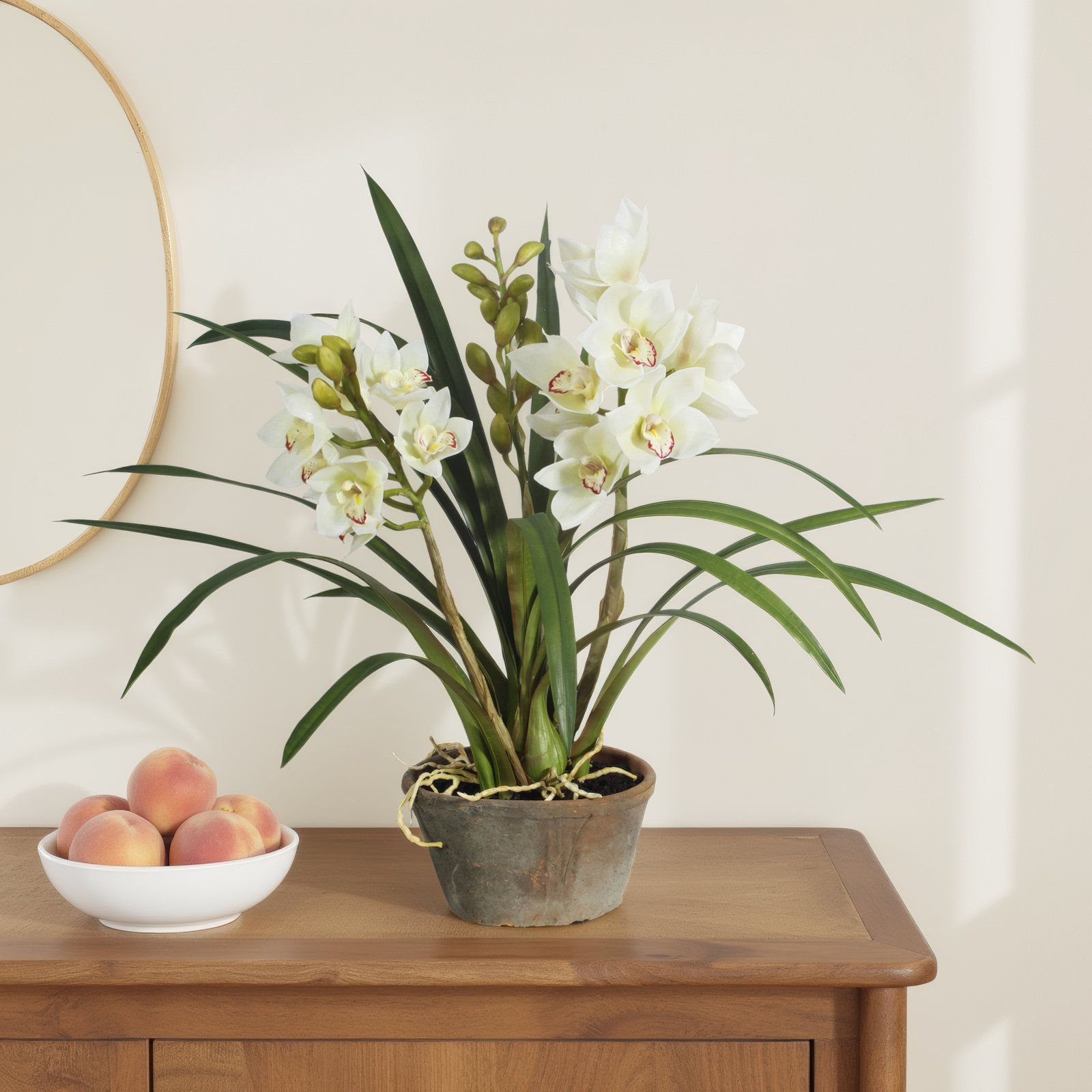 Orchid Floral Arrangement, White
