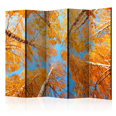 Nerses 172cm H Solid Wood Folding Room Divider