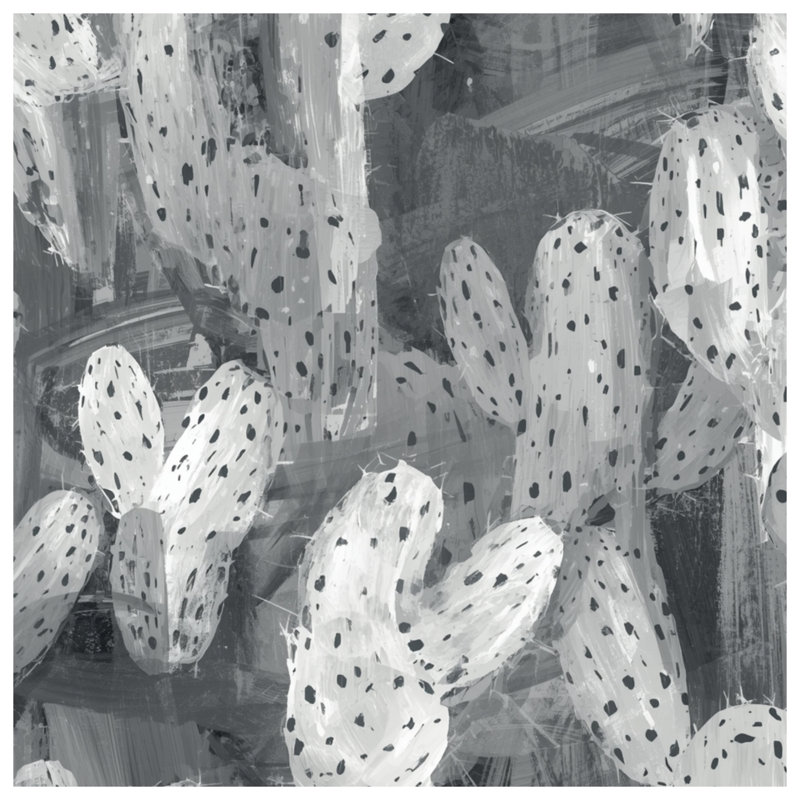 Couvertures de cactus grises abstraites, L 50 po x H 60 po