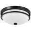 Monaville Glass Flush Mount-1669071608