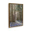 «Light Through the Trees» par Stephen Calcasola, reproduction d'art-249418781-249418780