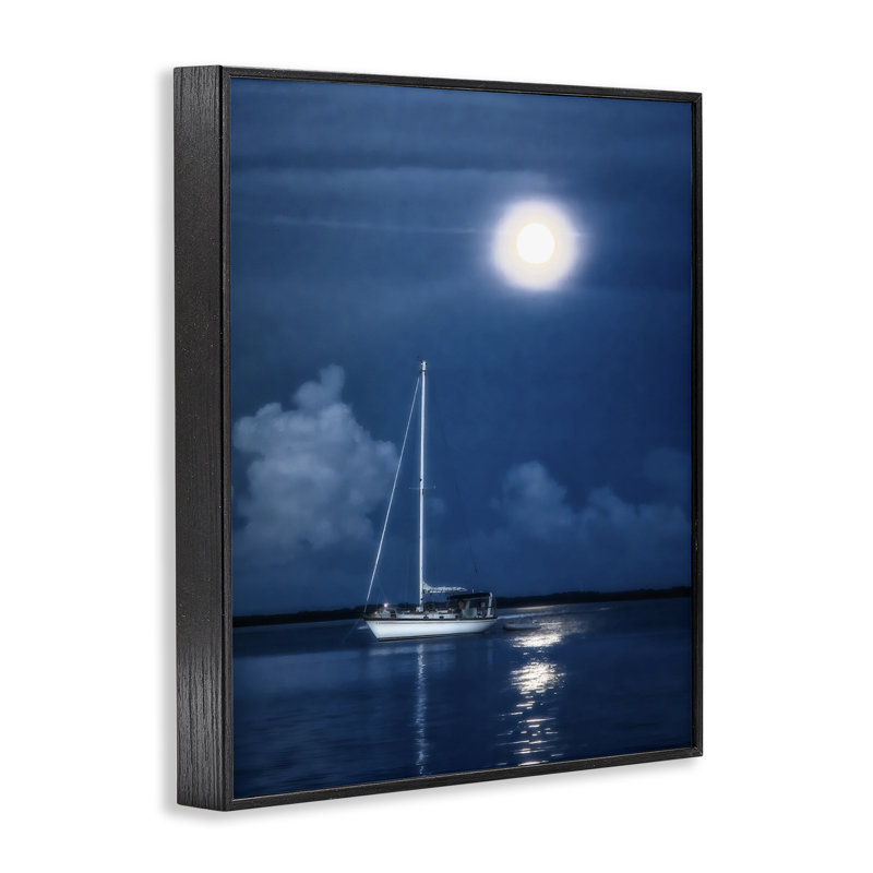 Art giclée au clair de lune par Mary Lou Johnson, H 30 po x l 24 po, Giclée encadrée noir minuit