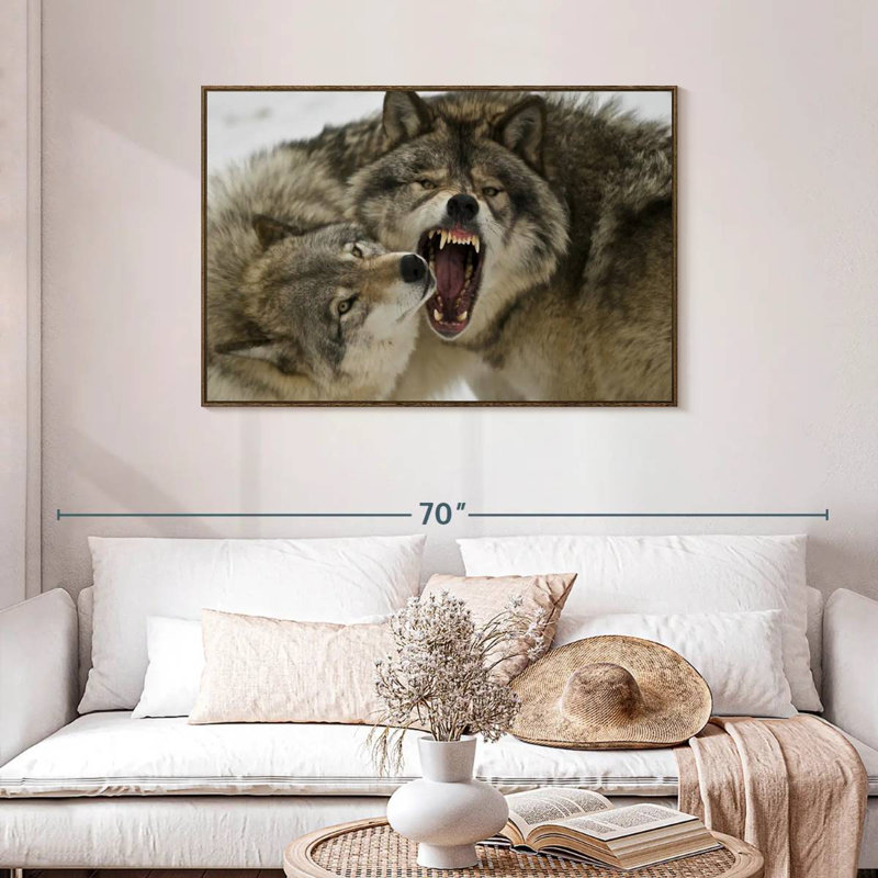 Combat de loups, Cadre flottant noyer, 40 po x 27 po