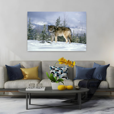 Gray Wolf Canis Lupus In Winter Snow Looking At Camera Abstract Contemporary Dog Wolf Animal Nature Wall Art