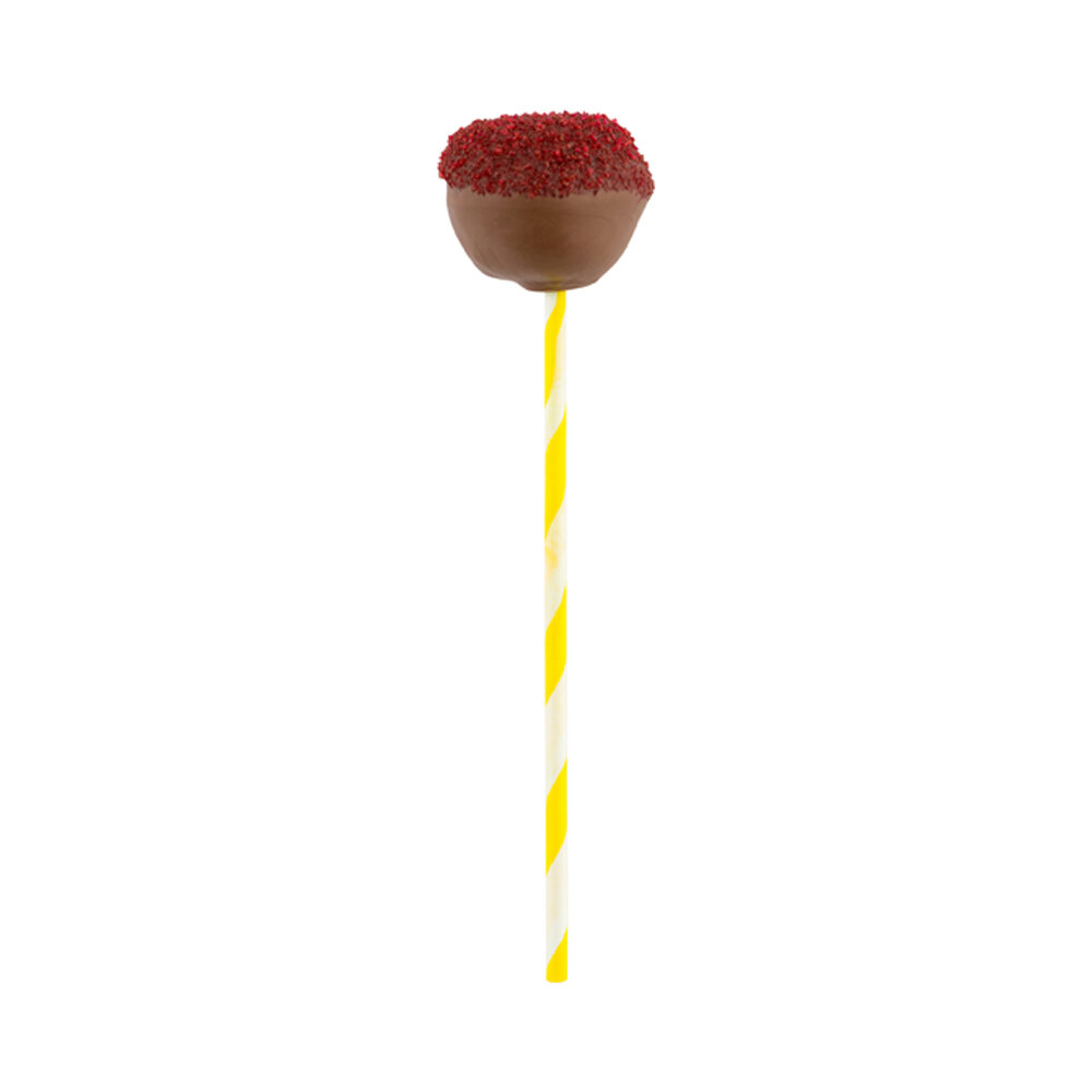 Yellow Paper Cake Pop and Lollipop Stick - Biodegradable - 6 x 5/32 - 100  count box
