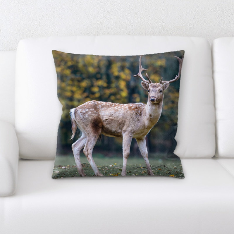 Coussin décoratif nature
