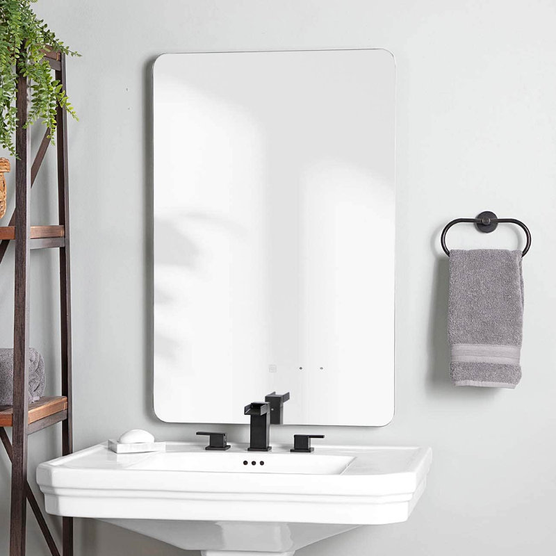 Miroir de salle de bain mural Totterdell, 32 po x 20 po