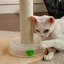 Support à griffer pour chat Fairela