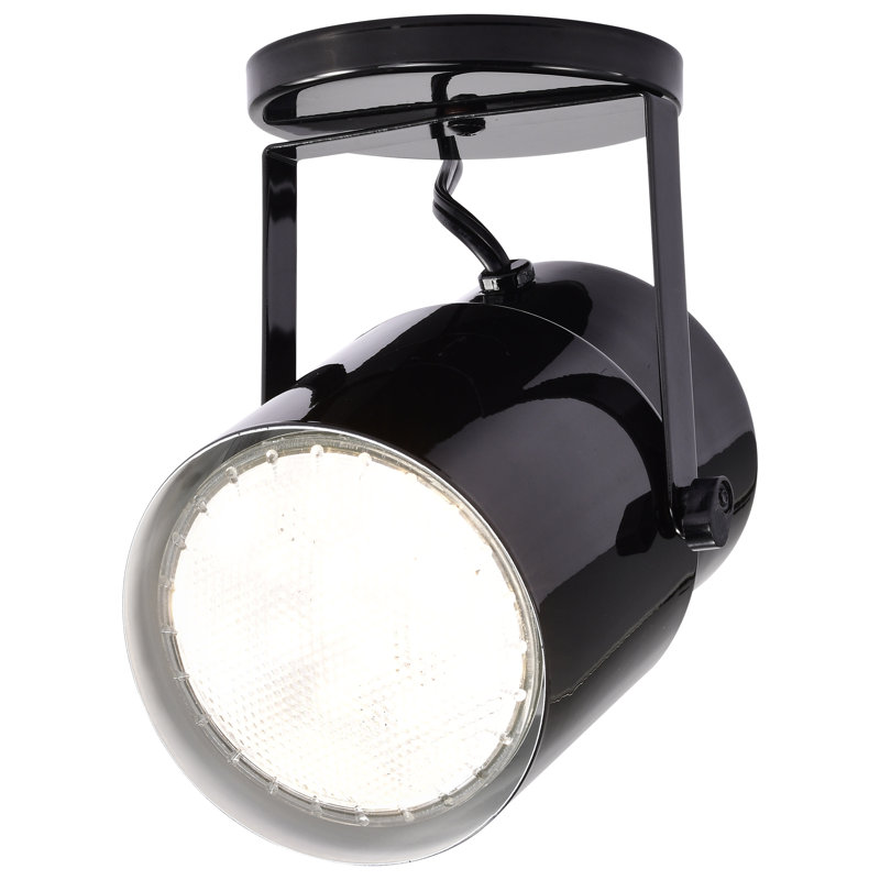 Projecteur 1 lumière Bellinger, Noir / acier