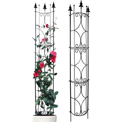 Garden Trellis 2 Pack 72'' H x 12'' W Metal Plant Trellis Indoor/Outdoor