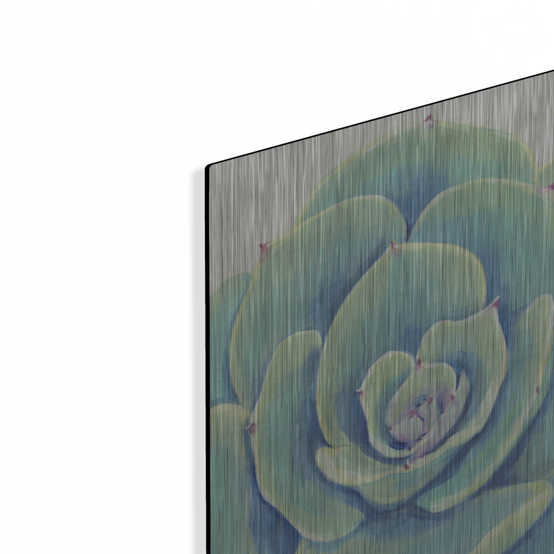 Art mural en métal «Pastel Succulent IV» par Tim O'Toole, H 16 po x l 12 po