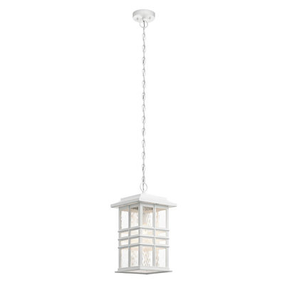 Ferina Outdoor Hanging Lantern