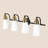 Dimmable Vanity Light, Bulbs not Included-359280960