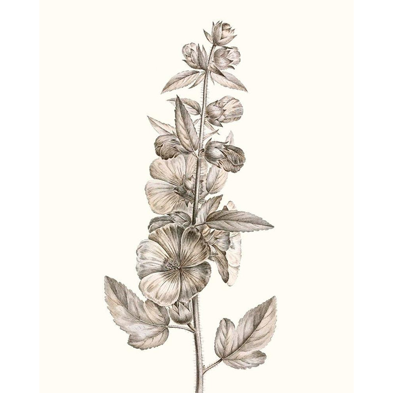 Art sur toile tendue Lark Manor ™ Vision Studio Gallery: Neutral Botanical Study V, H 24 po x l 20 po