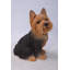 Statue yorkshire terrier assis