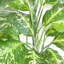 100cm Faux Tree in Metal Planter-306511610