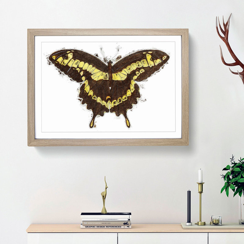 A Papilio Butterfly by George Shaw - Framed Print, 33cm H x 45cm W x 2cm D, Oak Framed
