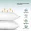 Square Pillow Insert-49165655