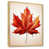 Brown Floater Framed