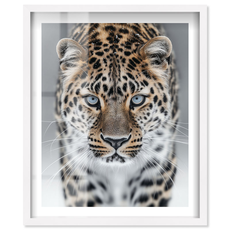 «Snow Leopard Shadowbox», art mural par Notoriart, cadre blanc, 20 x 24, H 25 po x l 21 po, Cadre blanc