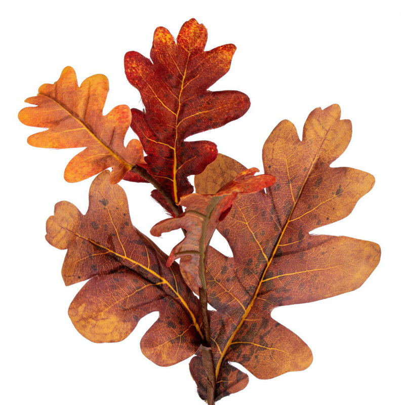 Guirlande de 60 feuilles de chêne d'automne orange. Elle mesure 60 par 9 pouces.