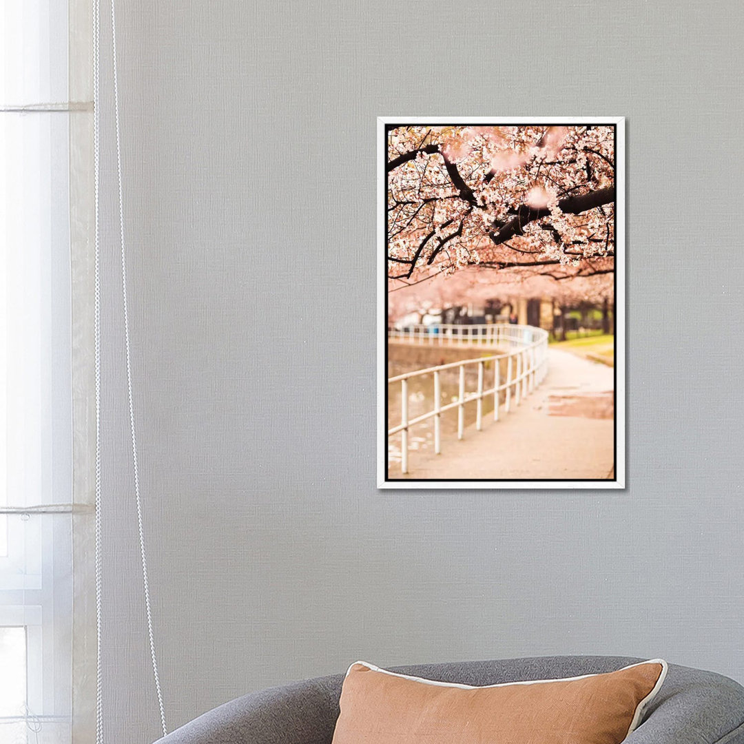 Canopy Of Cherry Blossoms Over A Walking Trail von Susan Richey - Gallery-Wrapped Canvas Giclée