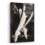 «Art Of Dance» par PhotoINC Studio-1306829335