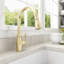 Belsena 2.0 Pull-Down Kitchen Faucet-1904849640