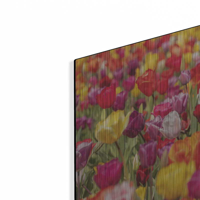 "Bouquet coloré" par Martin Podt, H 12 po x l 16 po