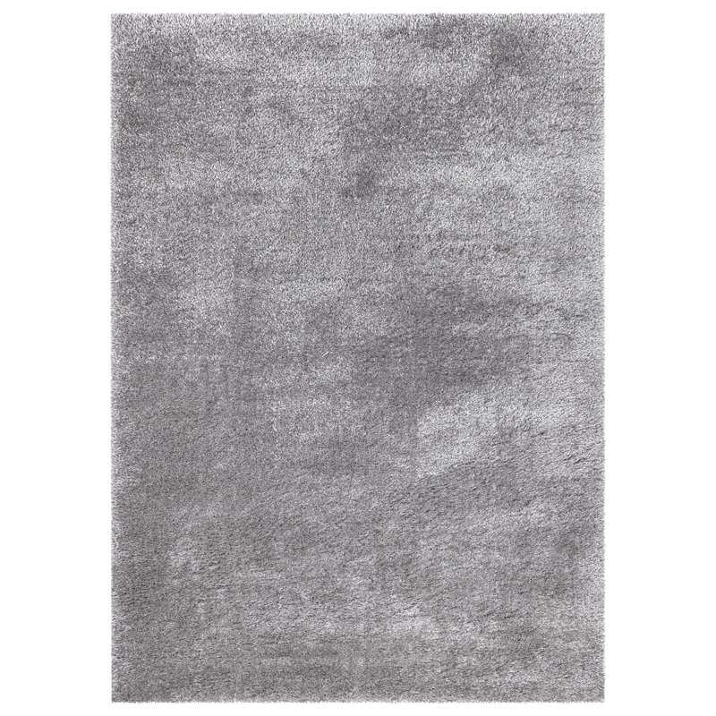 Ceianne Shag Indoor / Outdoor Area Rug, Rectangle 160 x 230 cm