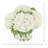 Hydrangea in Vase-1925525978