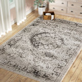 Gainesville Oriental Sterling Gray Area Rug