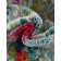 Hashimoto Washable Abstract Indoor Rug