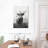 Brampt White Highlander-106964078