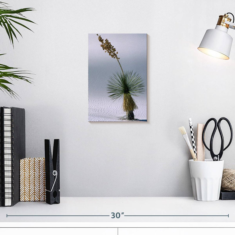 Harnek Yucca Succulent, 12" H x 8" W