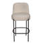 Darwin Counter Chair