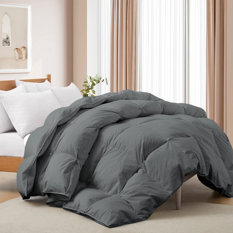 King Charcoal Gray Cotton Down Comforter
