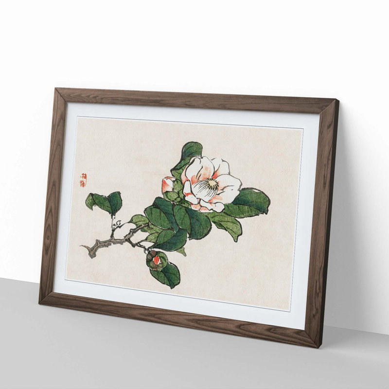 Pink Camelia Flower by Kono Bairei - Framed Print, 50cm H x 76cm W x 2cm D, Walnut