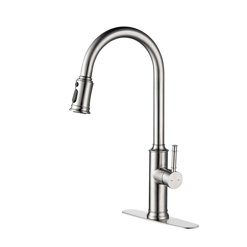 Robinet de cuisine avec douchette extractible