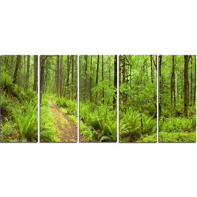 Lush Forest Path Columbia River 5 Piece Photographic Print on Wrapped Canvas Set -  Design Art, PT11137-401