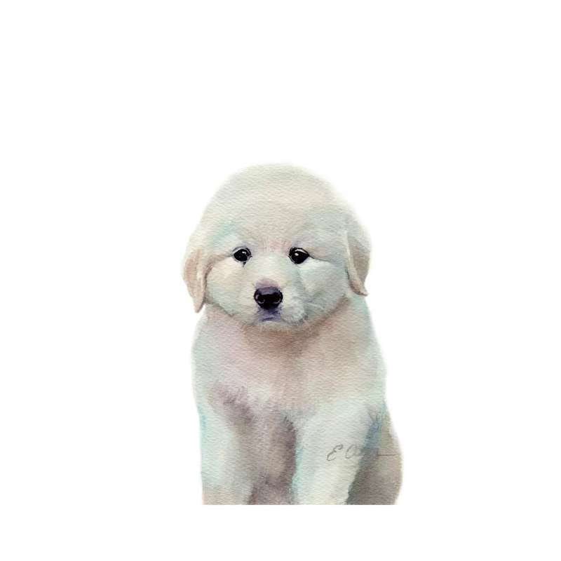 Great Pyrenees Puppy - Wrapped Canvas Print, 66.04cm H x 45.72cm W x 1.91cm D